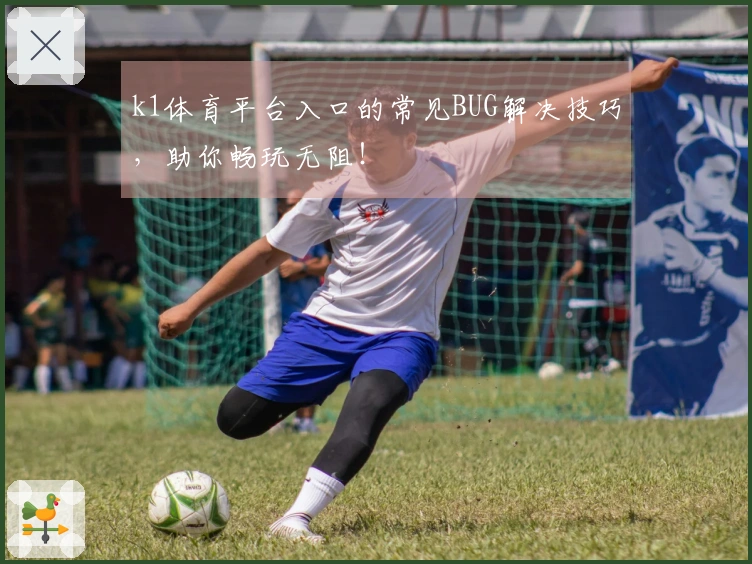 k1体育平台入口的常见BUG解决技巧，助你畅玩无阻！